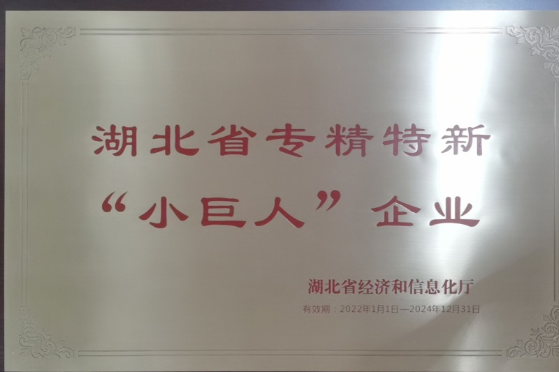 2022年公司獲得 湖北省專精特新“小巨人”企業(yè) 稱號(hào)